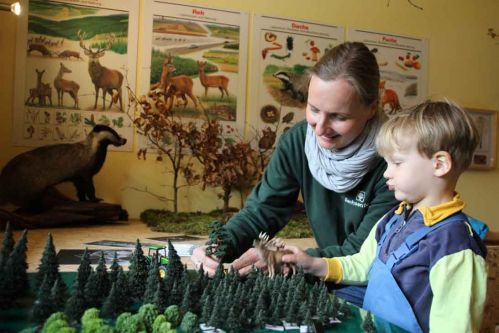 Waldpädagogin Katja Kaupisch und Elias erkunden spielerisch am Modell wie der Wald bewirtschaftet wird. 
