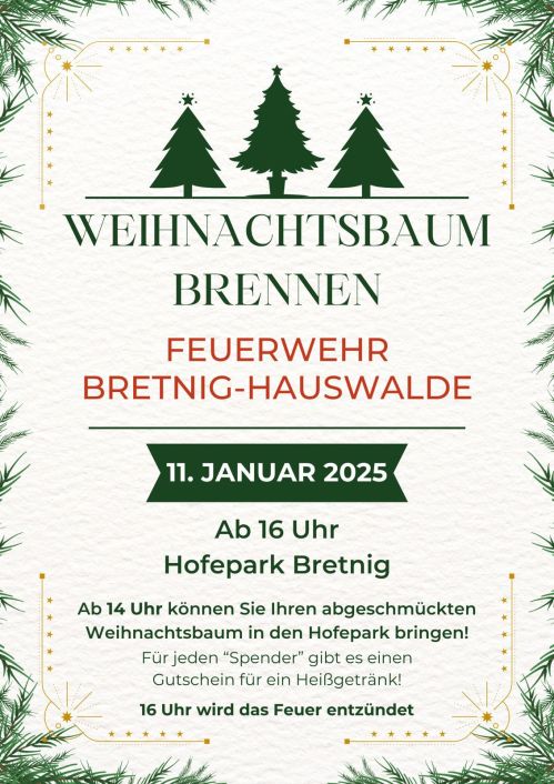 Weihnachtsbaumverbrennen Bretnig