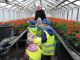 Projektstart „Vom Samen zur Blume“ 